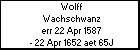 Wolff Wachschwanz